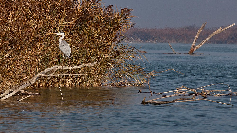 Delta del Po_04.jpg